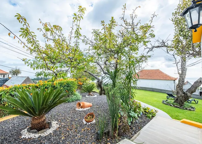 Piedade By Homie 别墅 Canhas